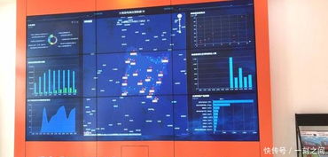 電子商務(wù)振興農(nóng)村經(jīng)濟 大悟農(nóng)特產(chǎn)品銷售節(jié)節(jié)攀升與儀器儀表產(chǎn)業(yè)的協(xié)同發(fā)展